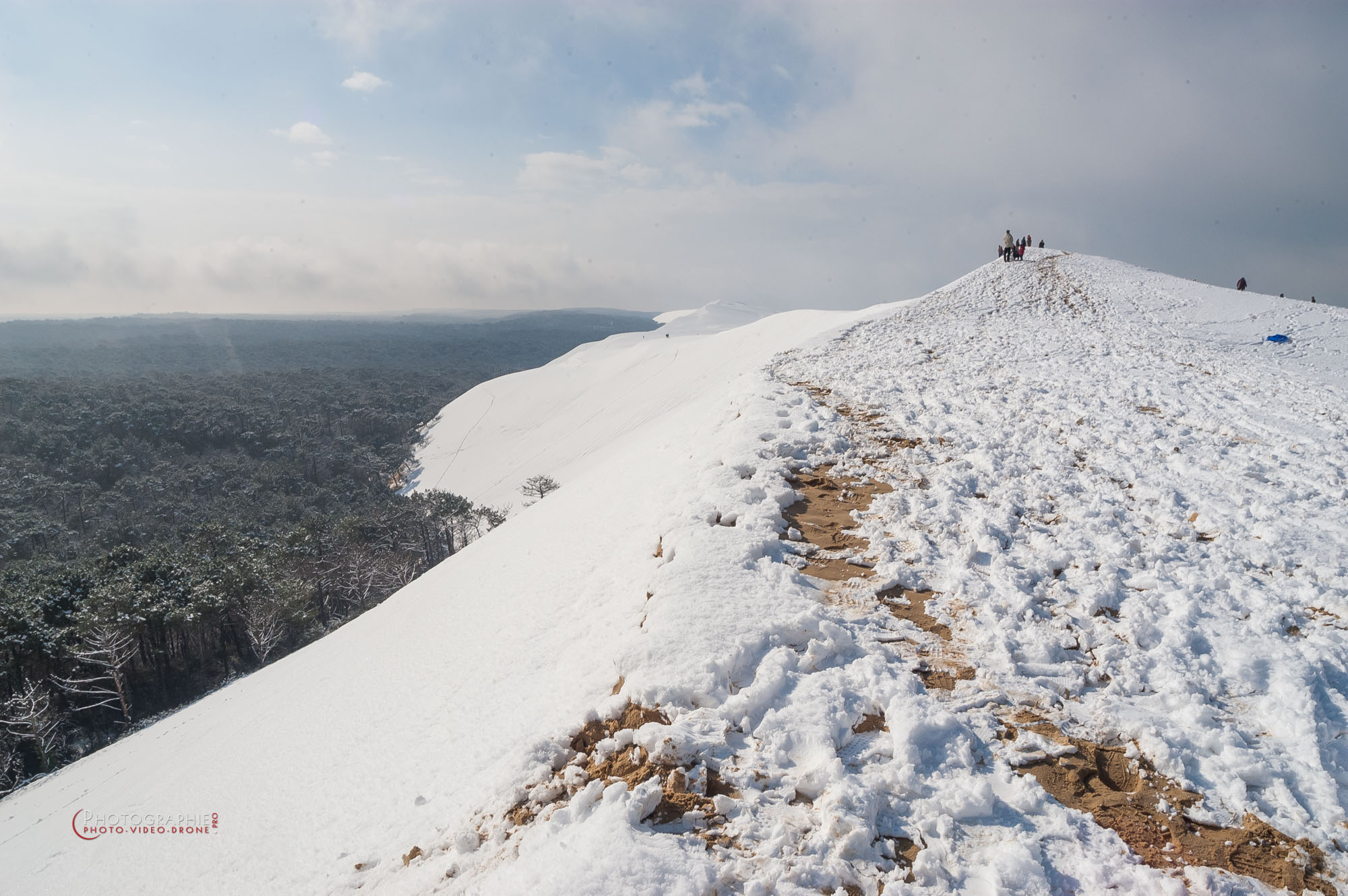 Vertical Split Layout