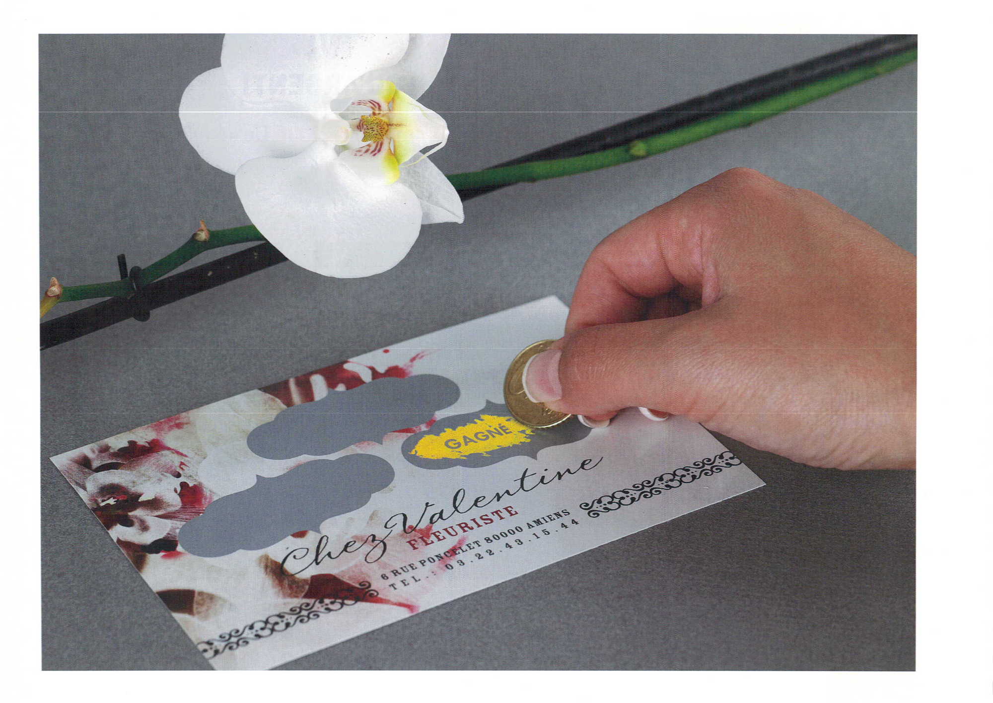 024 CATALOGUE PRINT 2013