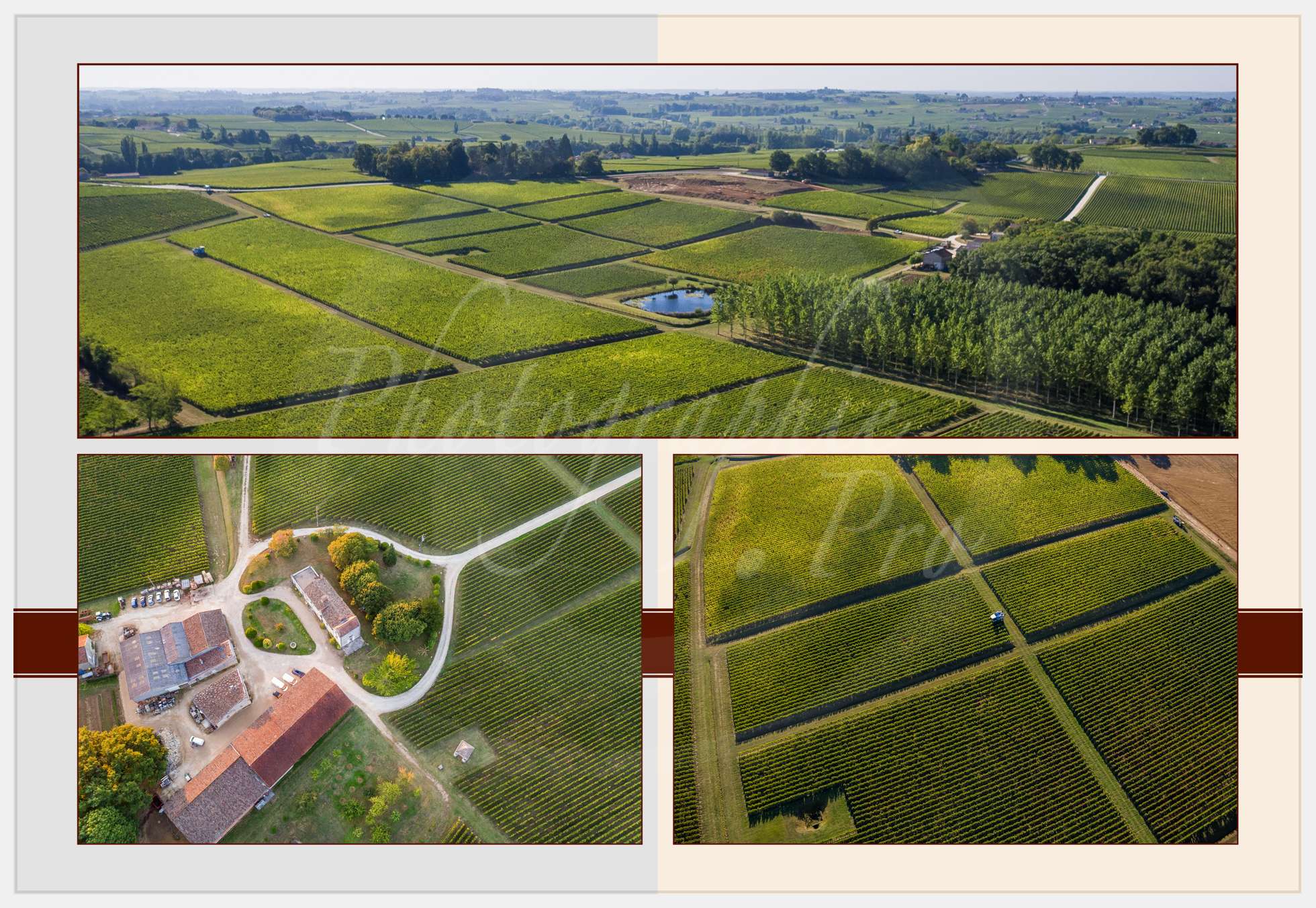 Livre Vendanges Corbin 2016 p03 c Photographie.Pro