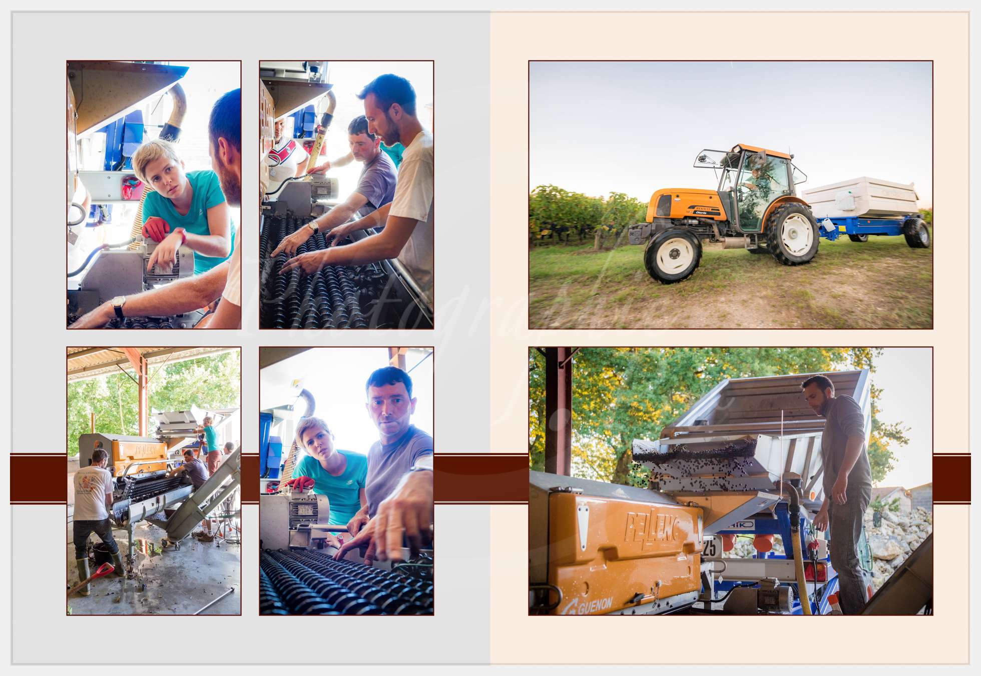 Livre Vendanges Corbin 2016 p06 c Photographie.Pro