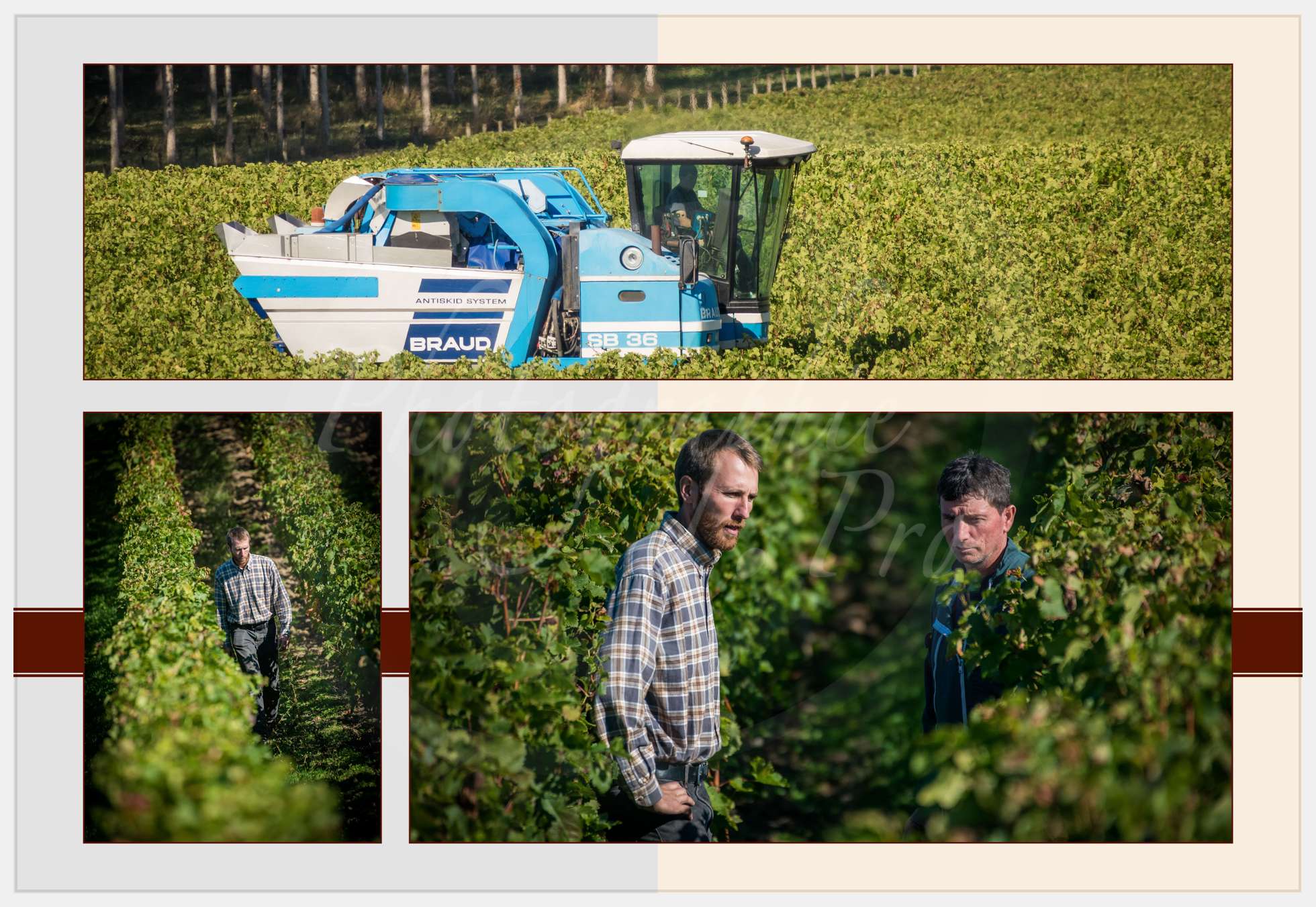 Livre Vendanges Corbin 2016 p09 c Photographie.Pro