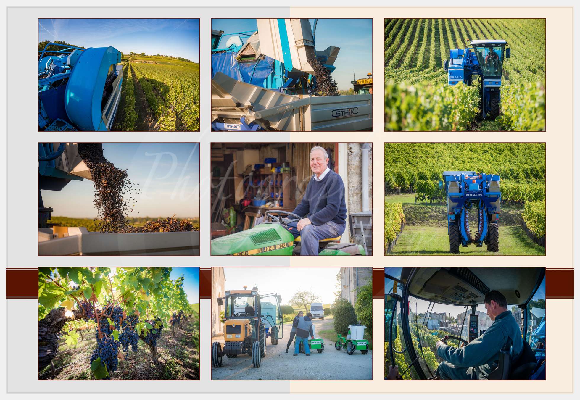 Livre Vendanges Corbin 2016 p10 c Photographie.Pro