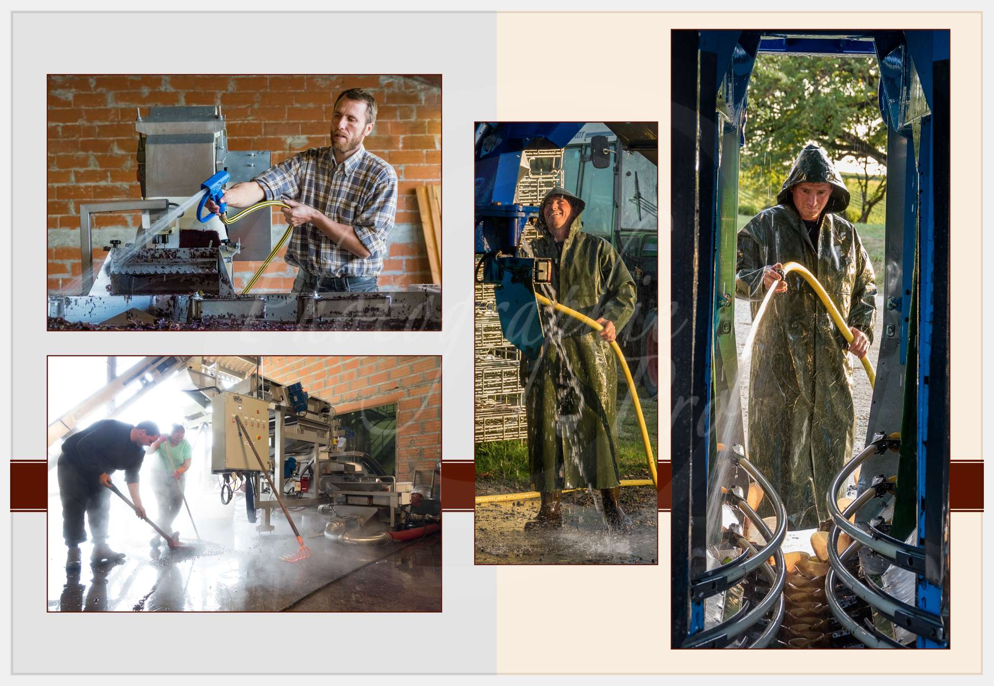 Livre Vendanges Corbin 2016 p13 c Photographie.Pro